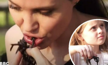 Angelina Jolie và các con 'bạo miệng' ăn bọ cạp và nhện ở Campuchia 