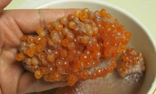 10 bệnh thường gặp, bệnh nhân cần kiêng ăn những gì?