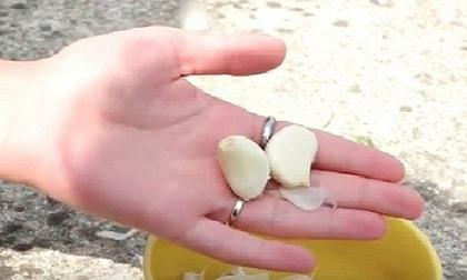 Điều tuyệt vời gì xảy ra với sức khỏe nếu bạn ngâm vài tép tỏi vào 1 lít nước và uống