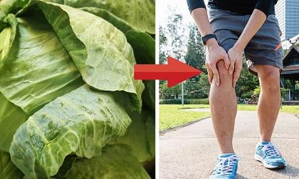 Tin vui: chữa khỏi bệnh gút với bài thuốc từ lá bắp cải