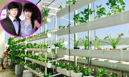 Đột nhập 'trang trại' rau sạch của vợ chồng Lý Hải - Minh Hà