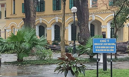 Hãi hùng cảnh tượng cây đổ trúng học sinh giữa sân trường Chu Văn An - Hà Nội