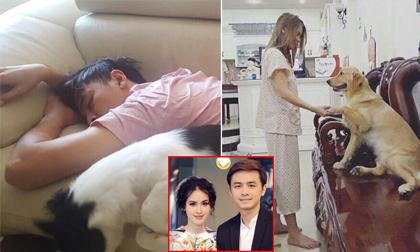 Loạt ảnh tự 'dìm hàng' nhau của vợ chồng Tú Vi - Văn Anh khiến fans thích thú