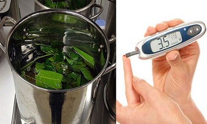 Chỉ cần đun lá sau với nước, đánh bay tiểu đường không cần mua thuốc