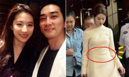 Nghi án Lưu Diệc Phi có thai với Song Seung Hun và sắp làm đám cưới