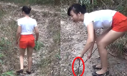 Thiếu nữ một mình bắt hàng ổ rắn khiến ai nấy đều há hốc