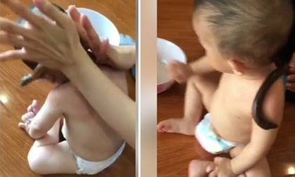 Mẹ chia sẻ video hướng dẫn chi tiết dùng lươn sống hạ sốt cho con gây xôn xao cộng đồng mạng