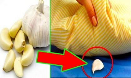 Đặt một nhánh tỏi dưới gối rồi đi ngủ, tại sao ai cũng nên làm