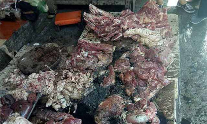 Bắt khẩn cấp 2 phụ nữ hắt dầu luyn vào phản thịt lợn