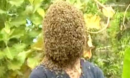Người đàn ông để 60.000 con ong bâu kín mặt... cho dễ chịu