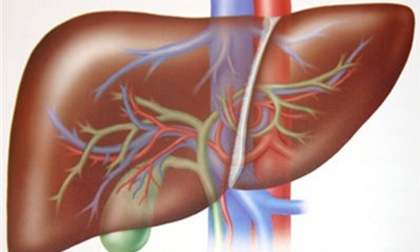Có dấu hiệu này đi khám gan ngay lập tức kẻo ung thư giai đoạn cuối thì hối không kịp