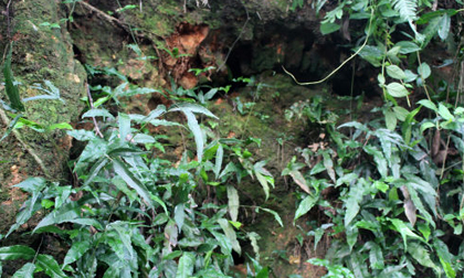 Thực hư về hầm mộ bí ẩn chứa đầy vàng tại Hà Nam