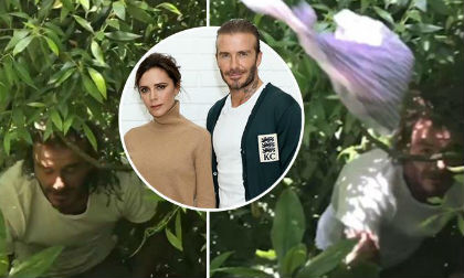 Thản nhiên quay cảnh ông xã David Beckham đi dọn phân chó và đây là cái kết của Victoria