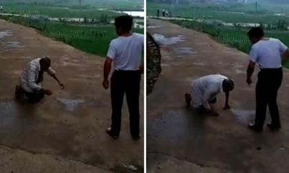 Cha già quỳ rạp lạy chính con trai mình khiến dân mạng phẫn nộ