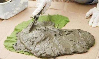 Người đàn ông đổ xi măng lên lá, hàng xóm chê lãng phí, cuối cùng ai cũng muốn học theo