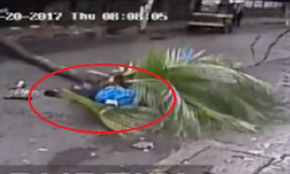 Nữ MC nổi tiếng bị cây cọ 'đập' chết tại chỗ khi đang đi giữa đường