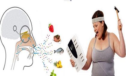 Khoa học chứng minh chỉ ngửi thức ăn thôi cũng béo là có thực