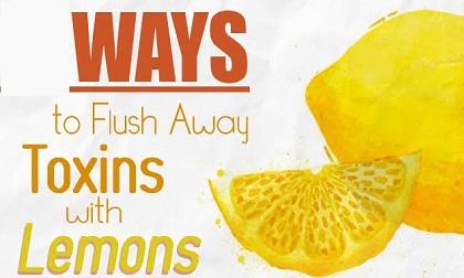 Lọc sạch chất độc ra khỏi cơ thể bằng loại quả rẻ tiền nhà ai cũng có