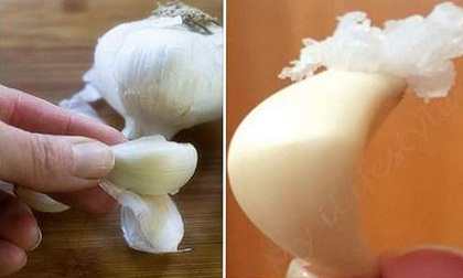 Bôi thuốc mỡ lên tép tỏi, bạn sẽ thấy điều kỳ diệu xảy ra