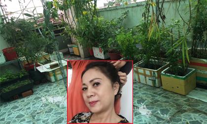 Khu vườn nhỏ trên sân thượng của diễn viên Hương Dung - mẹ Lê Thành 'Người phán xử'