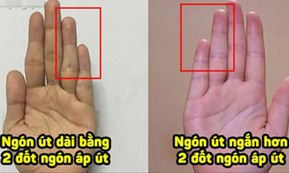 Ngón út dù bé vẫn nắm giữ vận mệnh của bạn, người có khả năng lãnh đạo xuất sắc có dáng tay thế nào?