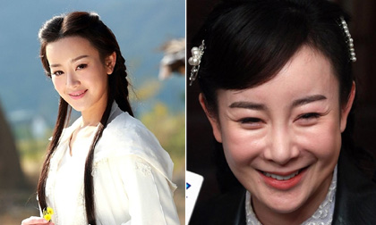 Nhan sắc và sự nghiệp tụt dốc của sao nữ giật chồng đồng nghiệp