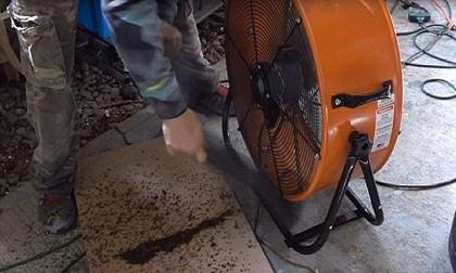 4.000 con muỗi sẽ bị tiêu diệt sạch sẽ chỉ với một chiếc bẫy tự làm