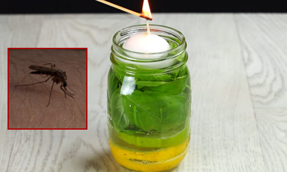 Mẹo hay: Cách tạo nến đuổi muỗi đơn giản khi ngồi ngoài trời