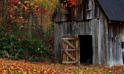 Chỉ ai sở hữu cặp mắt cú và thông minh tinh ý mới có thể phát hiện các đối tượng ẩn trong ảnh