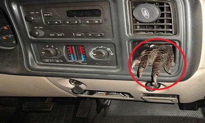 Kiểm tra đột xuất chiếc xe ô tô trên đường, cảnh sát sốc nặng khi phát hiện điều kỳ lạ