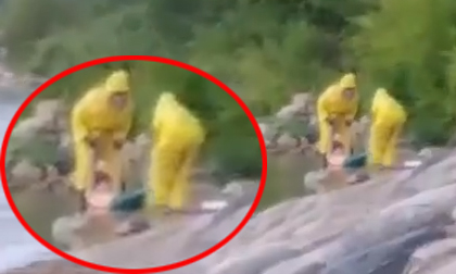 'Người cá' là có thật, xuất hiện tại Mỹ?