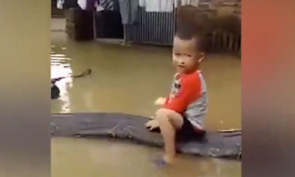 Clip bé trai 3 tuổi cưỡi con trăn 80kg trong sân ngập nước gây xôn xao