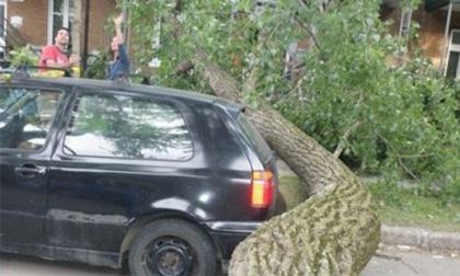 Loạt tình huống chỉ có những người may mắn từ trong 'trứng nước' mới gặp được