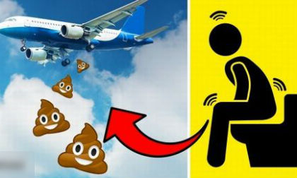 Chất thải trên máy bay chứa ở đâu?