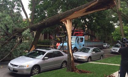 Tròn mắt trước những trường hợp 'trong cái rủi có cái may'