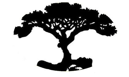 Đoán tính cách thông qua hình ảnh đầu tiên bạn nhìn thấy trong bức tranh