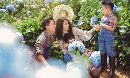Hải Băng và Thành Đạt cùng các con dạo chơi trong vườn hoa cẩm tú cầu 
