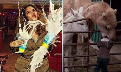 Với tất cả mọi thứ nên nhớ: 'Vui thôi, đừng vui quá'