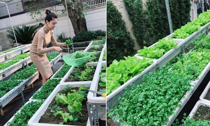 'Bà bầu' Ngọc Duyên khéo chăm được một vườn rau xanh mướt 