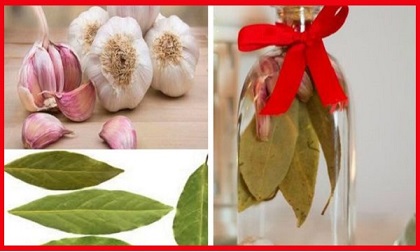 Nhét tỏi và lá nguyệt quế vào lọ thủy tinh sẽ đem lại nhiều may mắn, bạn sẽ tiếc vì không biết điều này sớm hơn