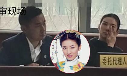 Bật khóc tại tòa án, 'Tiểu Yến Tử' Huỳnh Dịch bị chồng cũ mỉa mai 'khóc làm trò'