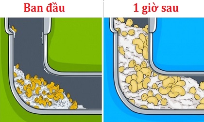 Sẽ có một ngày nhà ngập nước thải nếu bạn có thói quen ném những thứ nhỏ bé sau xuống cống