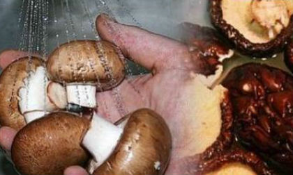 Làm sao để chế biến nấm hương đúng cách - 90% bà nội trợ đang làm sai việc này
