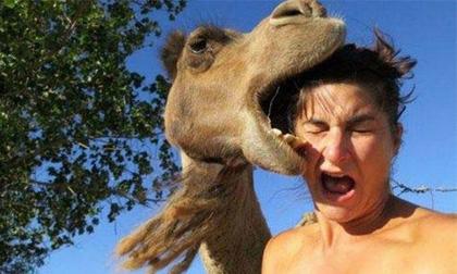 Cười té ghế với những khoảnh khắc gặp sự cố 'từ trên trời rơi xuống'