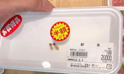 Sự thật về hai con mực 'to ngang con ruồi' có giá 4 triệu đồng trong siêu thị Nhật Bản 
