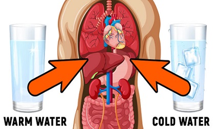 Mùa hè, lúc nào bạn nên uống nước lạnh, lúc nào nên uống nước ấm?