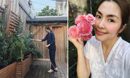Khu vườn hoa hồng đẹp như cổ tích của vợ chồng Tăng Thanh Hà