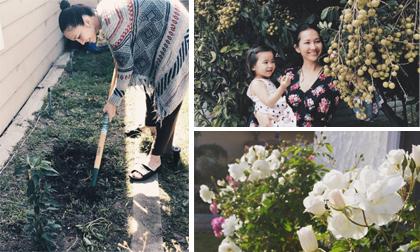 Ngắm khu vườn đầy cây trái, hoa thơm của Kim Hiền trên đất Mỹ