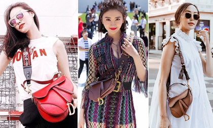 Hàng loạt sao và tín đồ thời trang mê mẩn chiếc túi yên ngựa của Dior
