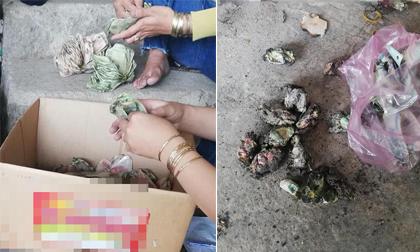 Cô nàng 'não cá vàng' đi đốt rác lại thiêu nhầm 350 triệu tiền thật 